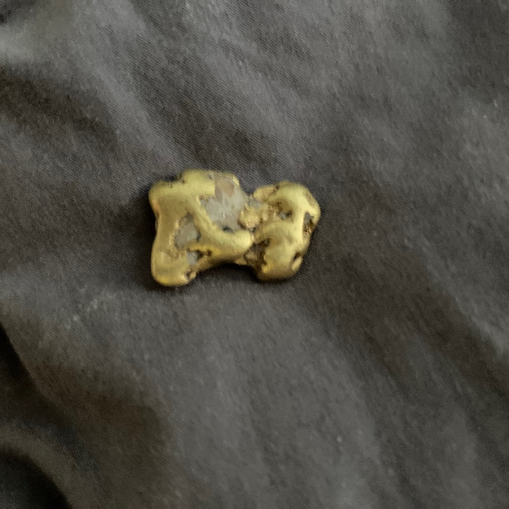 Gold Nugget - image 1
